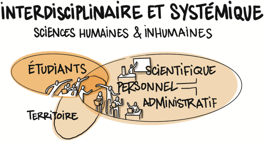 interdisciplinaire.png